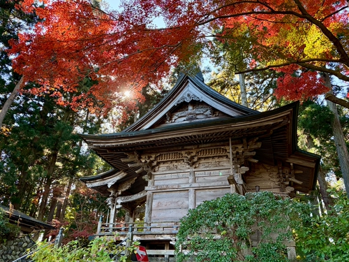 秋之中尊寺