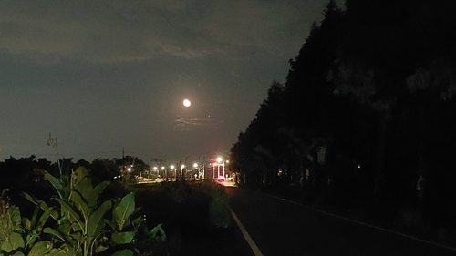 靜月(浸夜)