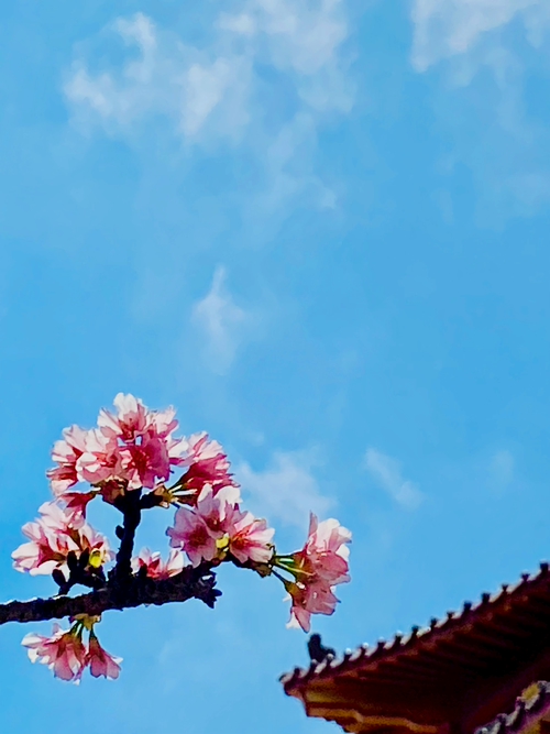 隨遇而美