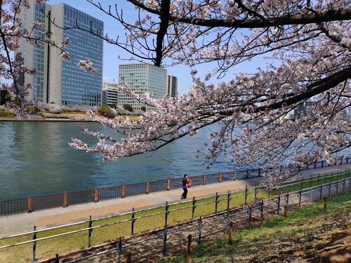 偶田川的中央大橋
