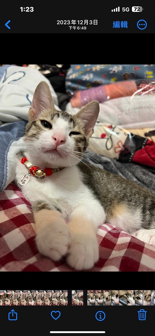 我想對阿財說：謝謝你的到來