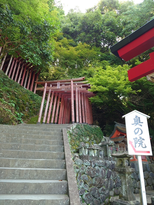 說走就走的旅行-佐賀找神明