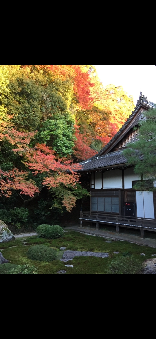 南禪寺賞楓之旅