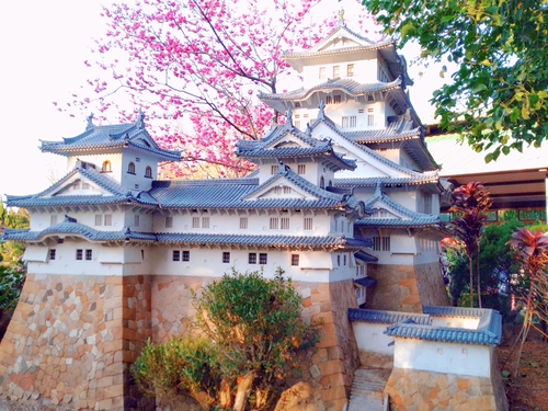 環遊世界不必搭飛機