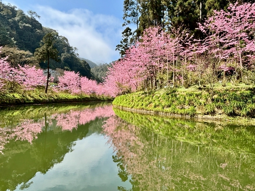 杉林溪-花生河畔