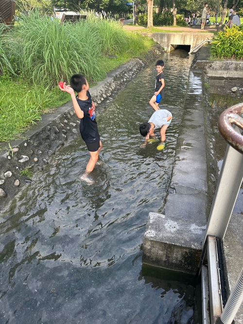 童年溪水裡的笑聲：青春最純真的記憶