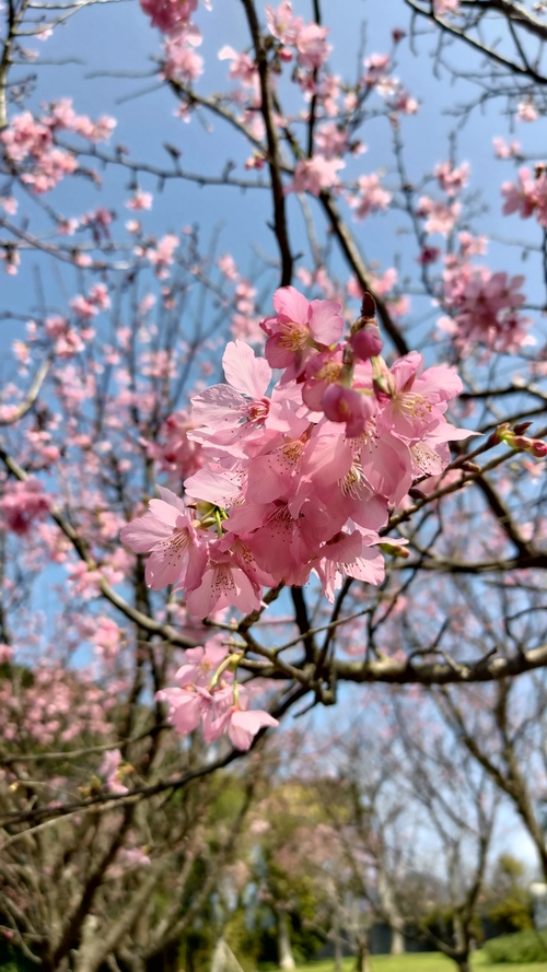 住六公園的美