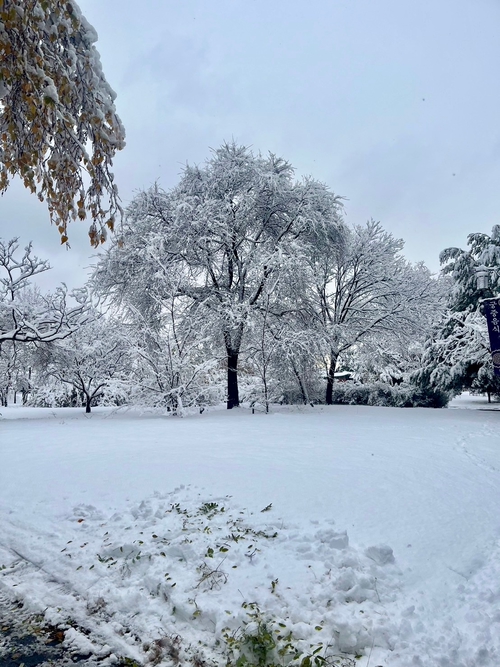 景福宮雪景❄️