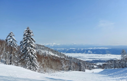 富良野